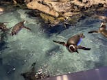 すみだ水族館に投稿された画像（2020/9/19）