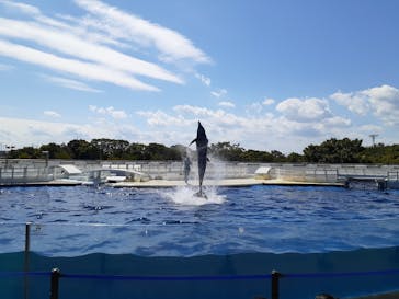 京都水族館に投稿された画像（2020/9/19）