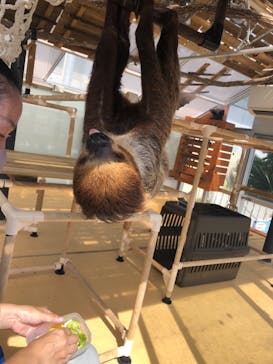 大分マリーンパレス水族館 「うみたまご」に投稿された画像（2020/9/19）