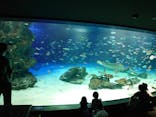 サンシャイン水族館に投稿された画像（2020/9/19）