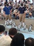 鳥羽水族館に投稿された画像（2020/9/19）