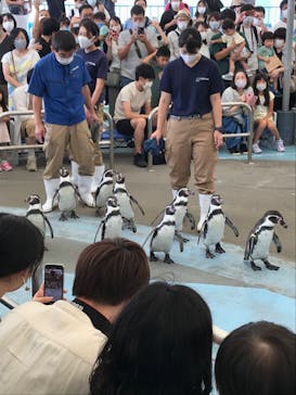鳥羽水族館に投稿された画像（2020/9/19）