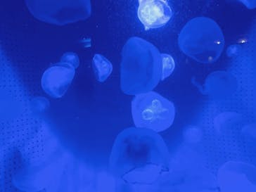 株式会社Gに投稿された画像（2020/9/19）