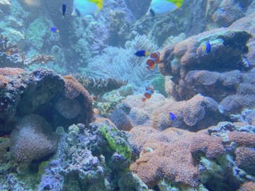 株式会社Gに投稿された画像（2020/9/19）