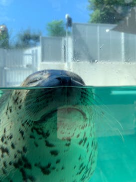 株式会社Gに投稿された画像（2020/9/19）