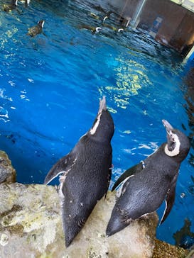 株式会社Gに投稿された画像（2020/9/19）