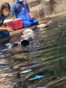 株式会社Gに投稿された画像（2020/9/19）