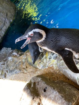 株式会社Gに投稿された画像（2020/9/19）