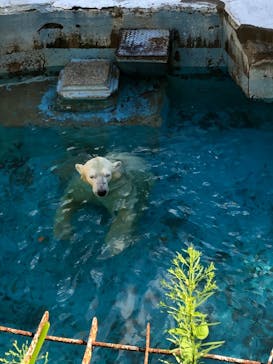 天王寺動物園に投稿された画像（2020/9/19）