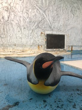 天王寺動物園に投稿された画像（2020/9/19）