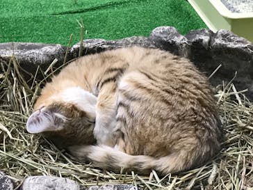 那須どうぶつ王国に投稿された画像（2020/9/19）