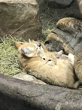 那須どうぶつ王国に投稿された画像（2020/9/19）