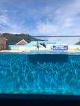 下田海中水族館に投稿された画像（2020/9/19）