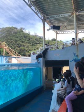 下田海中水族館に投稿された画像（2020/9/19）