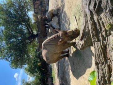 天王寺動物園に投稿された画像（2020/9/19）