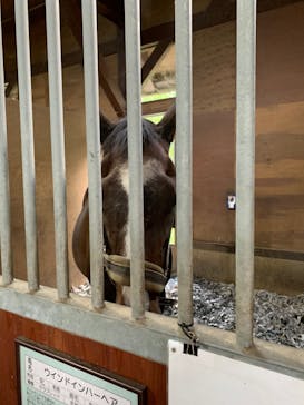 ノーザンホースパークに投稿された画像（2020/9/19）