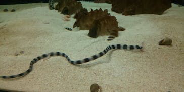 株式会社Gに投稿された画像（2020/9/19）