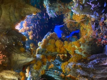 サンシャイン水族館に投稿された画像（2020/9/19）