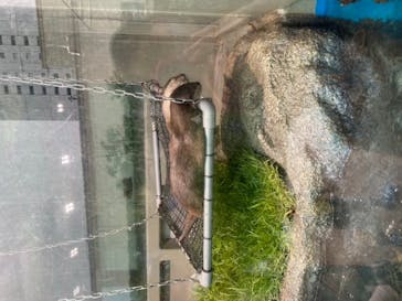 サンシャイン水族館に投稿された画像（2020/9/19）