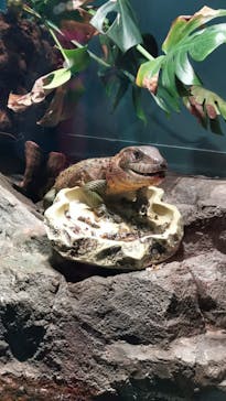 サンシャイン水族館に投稿された画像（2020/9/19）