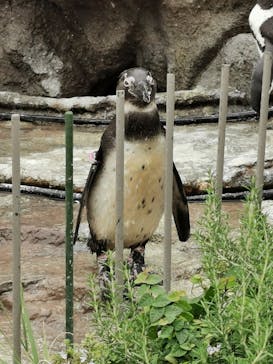 サンシャイン水族館に投稿された画像（2020/9/19）