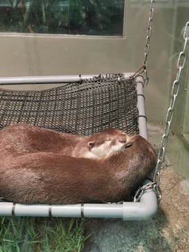 サンシャイン水族館に投稿された画像（2020/9/19）