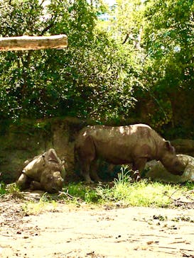 天王寺動物園に投稿された画像（2020/9/19）