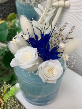 ずこうしつ〜sugamo〜に投稿された画像（2020/9/19）