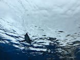 サンシャイン水族館に投稿された画像（2020/9/19）