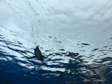 サンシャイン水族館に投稿された画像（2020/9/19）
