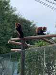 天王寺動物園に投稿された画像（2020/9/19）