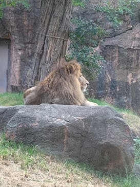 天王寺動物園に投稿された画像（2020/9/19）