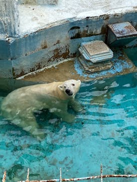 天王寺動物園に投稿された画像（2020/9/19）