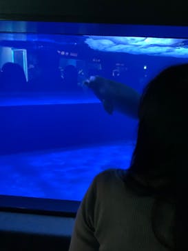 サンシャイン水族館に投稿された画像（2020/9/19）