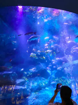 すみだ水族館に投稿された画像（2020/9/19）