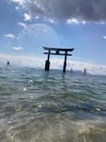 颯浮〜BIWAKO SUP TRIP〜に投稿された画像（2020/9/19）