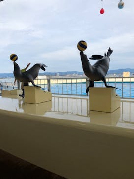 マリンワールド海の中道に投稿された画像（2020/9/19）