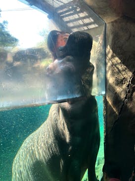 天王寺動物園に投稿された画像（2020/9/19）