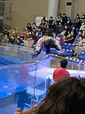 アクアワールド茨城県大洗水族館に投稿された画像（2020/9/19）