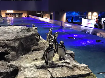 すみだ水族館に投稿された画像（2020/9/19）