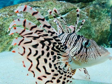 株式会社Gに投稿された画像（2020/9/19）