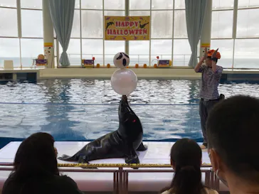 アクアワールド茨城県大洗水族館に投稿された画像（2020/9/19）