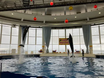 アクアワールド茨城県大洗水族館に投稿された画像（2020/9/19）