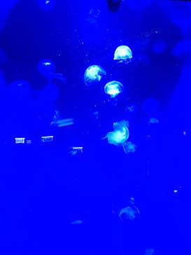 株式会社Gに投稿された画像（2020/9/19）