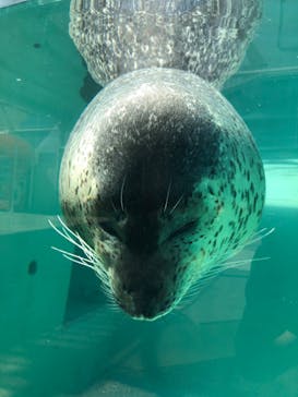 株式会社Gに投稿された画像（2020/9/19）