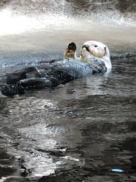 株式会社Gに投稿された画像（2020/9/19）