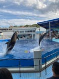 越前松島水族館に投稿された画像（2020/9/19）