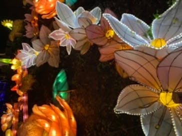 伊豆ぐらんぱる公園に投稿された画像（2020/9/19）