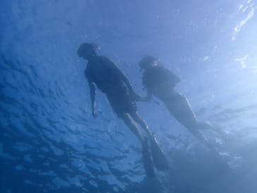 石垣島 ADVENTURE PiPi（イシガキジマアドベンチャーピピ）に投稿された画像（2020/9/19）