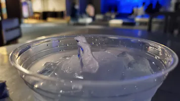 すみだ水族館に投稿された画像（2020/9/19）